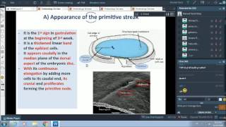 3rd wk of pregnancy  gastrulation  Dr Ahmed Farid [upl. by Alletnahs]