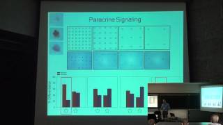 The Role of Cell Geometry in Stem Cells [upl. by Ayotahc503]