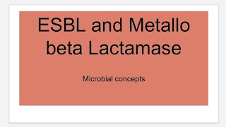 ESBLs and MBL Metallobeta lactamase  Microbiology [upl. by Fleeman]