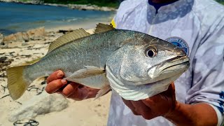 FISHING FOR KABELJOUSTRAND AND BETTYS BAY [upl. by Levitus369]