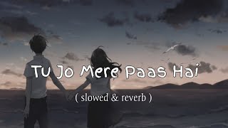 Tu Jo Mere Paas Hai  slowed amp reverb  sad 😢 lofi song  sadsong lofimusic lofi ejajlofi [upl. by Rosalynd400]