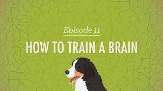 How to Train a Brain Crash Course Psychology 11 [upl. by Erodisi]