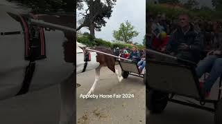 Appleby Horse Fair 2024 [upl. by Clovis]