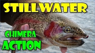 Stillwater fly fishing action with the Chimera fly pattern [upl. by Macleod169]