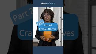 Mixed Cranial Nerves Part 2  Cranial Nerve IX MixedNerves CranialNerves NursingStudents NCLEX [upl. by Anerol]