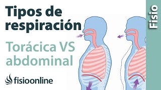 Respiración torácica VS respiración abdominal desde la visión de la fisioterapia respiratoria [upl. by Allenotna]