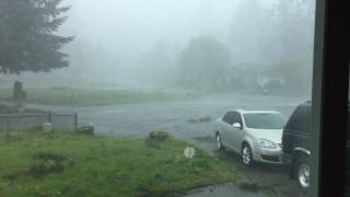 Microburst in Lacey Washington [upl. by Gnouhc]