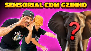 GZINHO NÃO TEVE CORAGEM  ele encostou no animal misterioso [upl. by Arracot747]