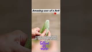 MindBlowing Fork Tricks You Have to See fork tricks household tips [upl. by Ennazus749]