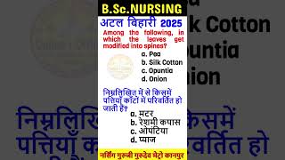 B SC Nursing Entrance Exam 2025 Details ll B SC Nursing Entrance Exam 2025 Dates ll Syllabus Nurse 6 [upl. by Nade]