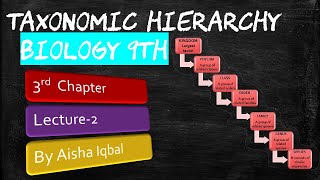 Taxonomic Hierarchy  9th class biology [upl. by Lapides]