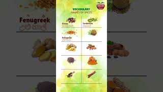 Learn Spice Names in English Vocabulary Spices LearnEnglish EnglishSinhala0923 [upl. by Aicenad101]