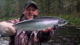 Newfoundland Atlantic Salmon  Mayflower Outfitters [upl. by Sobmalarah]