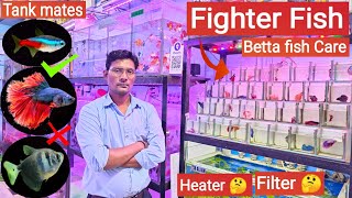 Fighter fish  Betta fish care Tankmates Tank size Heater Filter  Pari Aquarium Kurla market [upl. by Ecydnak]