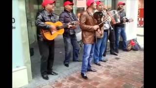 Balkan Musik Türk Halk Müziği Türkische Volksmusik Turkish folkmusic folklore [upl. by Malissa990]