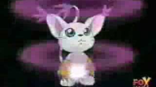 Gatomon Nefertimon audio latino [upl. by Neau]