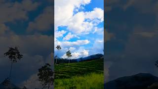 Natural environmentSri lanka🌎 🇱🇰 shorts visit [upl. by Gypsie]