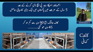 Success story in Calves کاف ویننگ ایج 90 دن سے کم ہو کر 45 دن ھو گئی dairycalves earlyweaning [upl. by Stacee564]