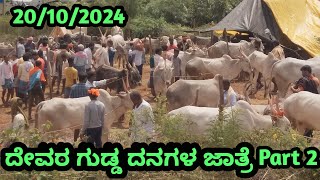 Part 2 ದೇವರ ಗುಡ್ಡ ದನಗಳ ಜಾತ್ರೆಗೆ ಸ್ವಾಗತ  well come to Devaragudda Cattle Fair  kdmchannelkannada [upl. by Jerald231]