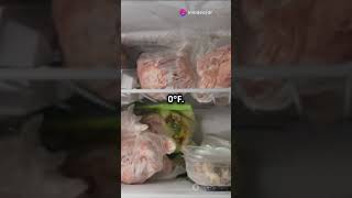 Essential tips on how to keep butchery clean and safe butchery education live food meat [upl. by Lydnek]