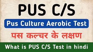 Pus CS Test in hindi  Pus Culture Test in hindi  Symptoms of PUS CS  Pus Culture Aerobic Test [upl. by Court]