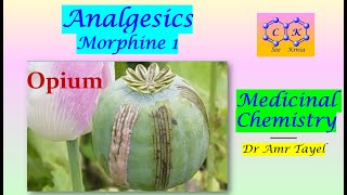 Narcotic Analgesics part 1 Morphine  Medicinal Chemistry  E  PDF 👇 [upl. by Anwahs]