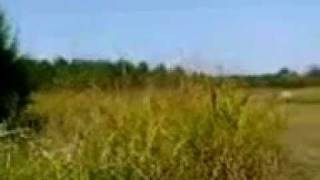 Camerons Quail Preserve Alabama Bass Fishing Skeet Shooting Bird Watching [upl. by Nnyrb735]