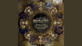 Passacaglia for Violin and Viola [upl. by Reldnahc]