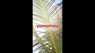 Yamamay Summer 2024 [upl. by Ettenawtna]