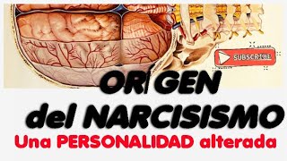 ¿COMO SE ORIGINA EL NARCISISMO Causas de la personalidad ALTERADA Freud ORIGEN EN PSICOPATOLOGÍA [upl. by Pelag271]