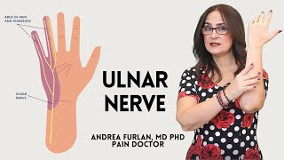 125 Cubital tunnel syndrome  compression of the ulnar nerve at the elbow [upl. by Flessel]