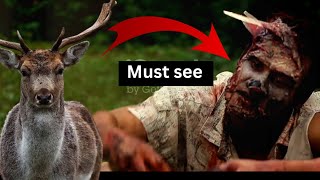 Zombie Deer Diseasequot Lurking Closer Than You Think Cases Raising Human fear [upl. by Attenra]