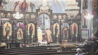 August 6 2024 Divine Liturgy Saint Ann Byzantine Catholic Church [upl. by Henson]