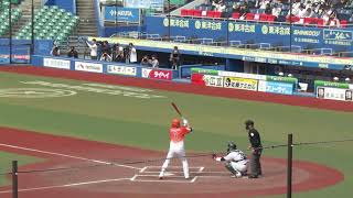 トライアウト〜レフトフライに倒れた陽岱鋼の打撃フォームとスイング（2024年11月14日 プロ野球合同トライアウト ） [upl. by Nikal]