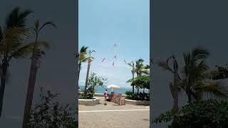 voladores DE PAPANTLA PUERTO VALLARTA 🇲🇽 [upl. by Koblick]