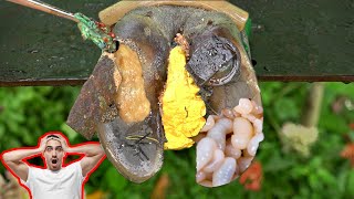 Poor Cows Leg PIERCED by Iron Bar FULL of Pus and Worms 🐄 satisfying 181101 [upl. by Leirrad]