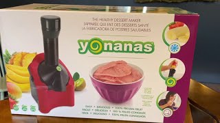 Yonanas  Does It Really Work [upl. by Rambert]