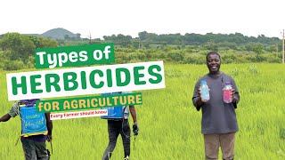 TYPES OF HERBICIDES IN AGRICULTURE Every Farmer should know Understanding the different herbicides [upl. by Vine]