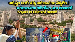 Arunachalam Temple  Insideview  Arunachalam Giri  Aunachala Shiva  Arunachalam Song  horts [upl. by Gelb]