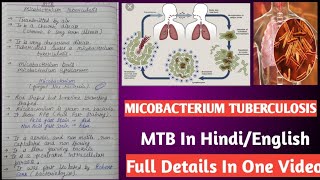 Micobacterium tuberculosis  Mycobacterium tuberculi microbiology [upl. by Nomyaw56]