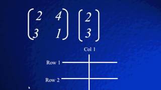 2X2 BY 2X1 MATRIX MULTIPLICATION [upl. by Alikat]