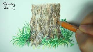 나무와 풀 그리기 색연필 그림 Drawing trees and grass Colorpencil drawing [upl. by Christenson716]