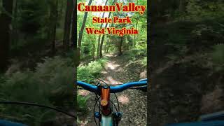 MTB trails at Canaan Valley State Park shorts seniorworkout mtb mountainbikinglife [upl. by Eniarol]