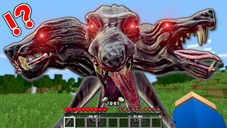 超怖いケルベロスに襲われるマインクラフト😱【マイクラ Minecraft】ぽっぴんず [upl. by Feucht]