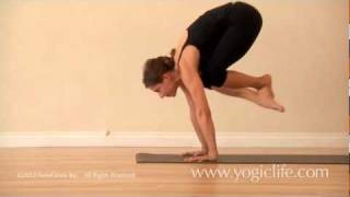 Ashtanga Yoga Jumping Through with MARIA VILLELLA [upl. by Pennebaker]