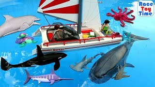 Playmobil Summer Fun Catamaran Playset plus Sea Animals Toys [upl. by Yanehc]