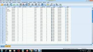 spss Data entry in UrduHindi [upl. by Crenshaw]