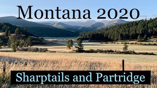 Montana 2020 Sharpies amp Huns part 1 [upl. by Arvin]