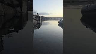 big tides today on penryn river [upl. by Occor]