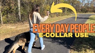 Full demo and review of the Invirox Ultra K9 collar [upl. by Najtsirk994]